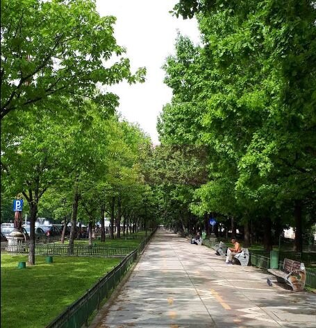 Vanzare apartament de 4 camere in zona bd Unirii-Casa Poporului